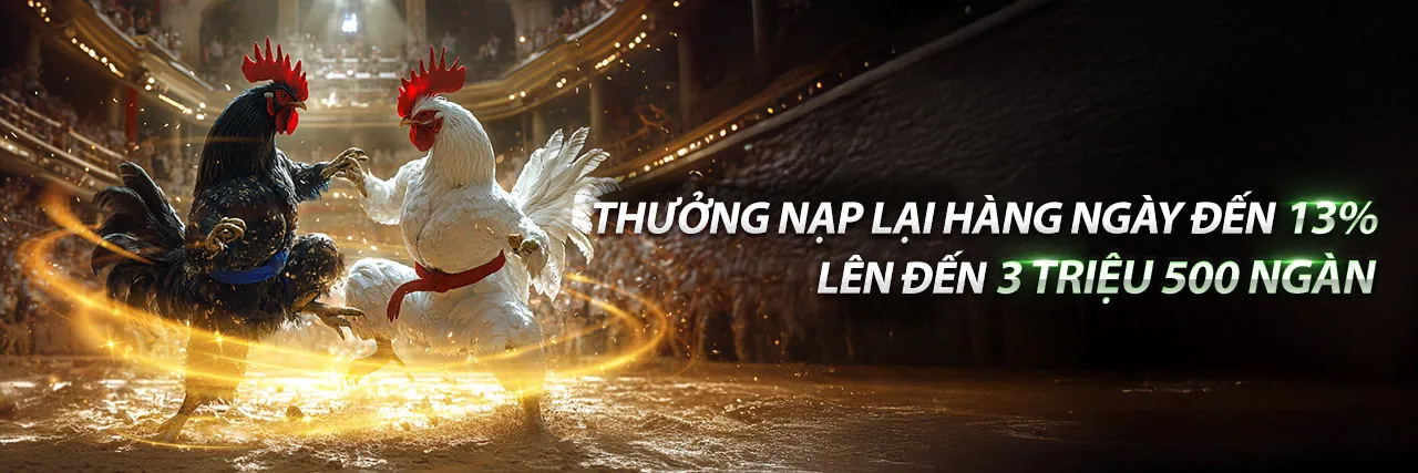 Hình ảnh giới thiệu về nền tảng cá cược trực tuyến nk888 đăng nhập